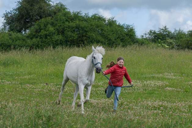 IMAGO Creative, Kinder auf dem Reiterhof Mädchen, 10 Jahre, läuft mit ihrem Pferd auf der Weide, Mecklenburg-Vorpommern, Deutschland, Europa *** Girl, 10 Years, running with their Horse at the Pasture, Mecklenburg Western Pomerania, Germany, Europe Copyright: imageBROKER/HelmutxMeyerxzurxCapellen ibxmzc08443649.jpg ,model released, Symbolfoto ,property released