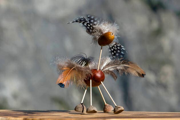 A Bird, funny animal figure made from chestnuts and oak acorns in autumn time, Switzerland 61665_09_rm_msc_c4t0426_g