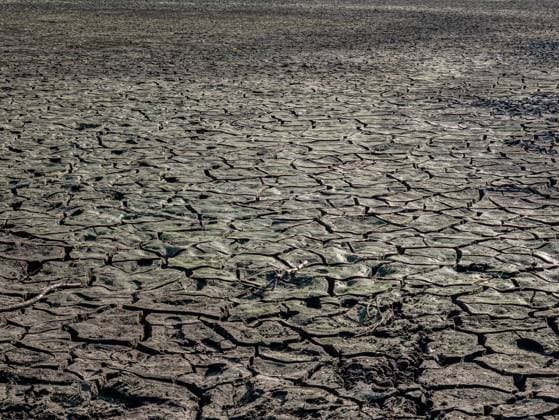 Sommerhitze setzt Seen zu Viele flache Seen trocknen bei den hohen Temperaturen über 30 Grad aus. *** Summer heat hits lakes Many shallow lakes dry up as temperatures soar above 30 degrees Copyright: xBerndxGüntherx