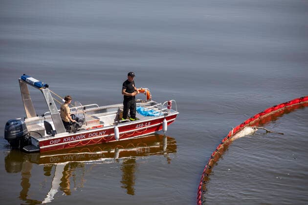 Deutschland, Uckermark, Schwedt Oder, Fischsterben in der Oder, Tote Fische, 16.08.2022