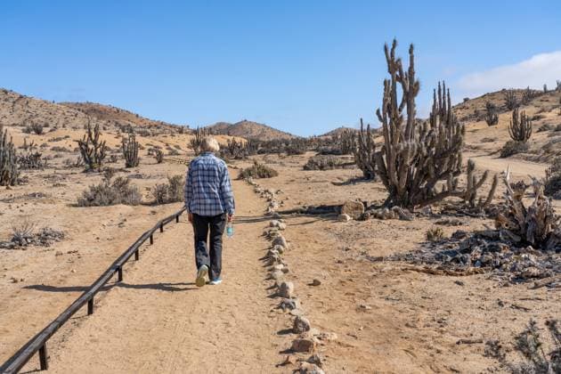 IMAGO Creative: Welttourismustag am 27. September A tourist on a hiking trail to an overlook in Pan de Azucar National Park in the Atacama Desert of northern Chile. Pan de Azucar National Park Chile Copyright: xJonxG.xFullerx 3712-JGF-landscapes-Pan de Azucar NP-CHL