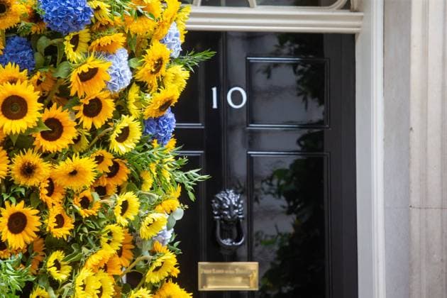 News Bilder des Tages August 23, 2022, London, England, United Kingdom: 10 Downing Street gets decorated with sunflowers as a sign of solidarity ahead of Ukraine Independence Day. London United Kingdom - ZUMAs262 20220823_zip_s262_034 Copyright: xTayfunxSalcix