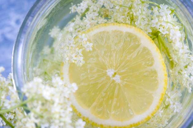 Elderflower syrup in mason jar, ASF06840