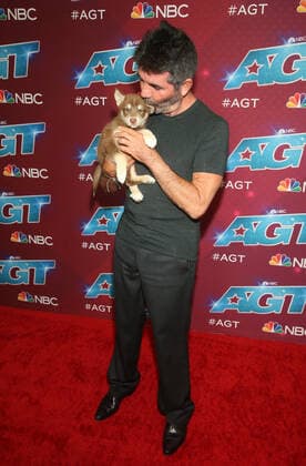 America s Got Talent season 17 live show red carpet event at Sheraton Pasadena Hotel Featuring: Simon Cowell Where: Pasadena, California, United States When: 23 Aug 2022 Credit: Faye s Vision Cover Images Copyright: xx 51907054 EDITORIAL USE ONLY. NOT FOR USE BY NEWSPAPERS BASED IN THE UK.