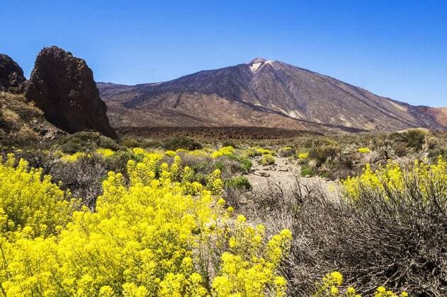  Canary Islands in Spain, Teide mountain on Teneriffa, , , 24.05.2021, Copyright: xtopasx Panthermedia30144872.jpg