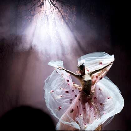 CHENGDU - SEP 23: chinese famous dancer Yang Liping performs Peacock Dance on stage at Jincheng theater.Sep 23, 2012 in Chengdu, China. , 3769209.jpg, dance, ballet, whirl, art, theater, dancer, hoofer, chinese, folk, folk dance, national, national dance, model, music, passionate, china, costume, culture, girl, female, actress, woman, lady, performance, acrobat, asia, asian, traditional, fitness, people, person, young, stage, skill, professional, Yang Liping, skirt, pretty, beauty, finery, dress, attire, grace, graceful, unique,