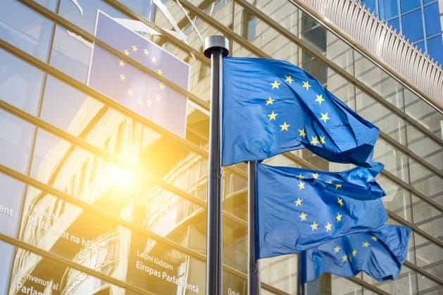 flagge,parlamentsgebäude,eu,europäisch,fahne,fahnen,flaggen,parlament,parlamente,europa,europäische gemeinschaft,europäische union *** flag,parliament,eu,european,flags,parliaments,europeans mcp-mzm