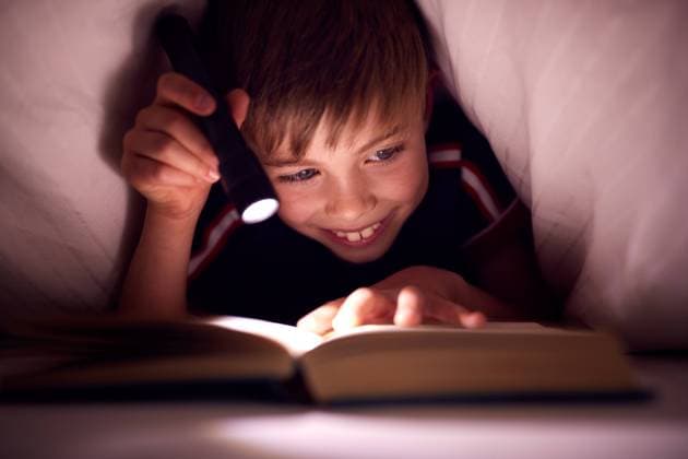 junge,buch,lesen,bettdecke,heimlich,bettzeit,jungen,bücher,bettdecken,decke,decken,zudecke,zudecken,geheim,geheimnis,heimlichkeit *** boy,book,reading,duvet,secret,boys,books,read,reading a book,reading something,to read,blankets,feedback,secrets mmq-134v ,model released, Symbolfoto