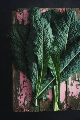 wintergemüse,blattgemüse,palmkohl,gemüse *** vegetables,leaf vegetable,vegetable,leaf vegetables sj7-g3f