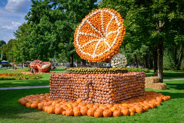 Welt der Musik ist das Motto der diesjährigen Kürbisausstellung in der Gartenschau in Kaiserslautern. Gäste bewundern am Dienstag (30.08.2022) die bis zu 4 Meter hohen Kunstwerke. Rund 40.000 Kürbisse an den insgsamt13 Figuren, darunter ein Grammophon, eine Geige, die berümte Rolling Stones Zunge oder ein DJ an seinem Pult, verwandeln die Gertenschau in eine einmalige Kürbiswelt. Offizieller Start der Ausstellung ist der 01. September 2022. Zu sehen werden die Kunstwerke bis zum 31. Oktober 2022 sein. *** World of music is the motto of this years pumpkin exhibition in the garden show in Kaiserslautern Guests admire the up to 4 meters high works of art on Tuesday 30 08 2022 About 40 000 pumpkins on the insgsamt13 figures, including a Kuerbis30082201D.jpg