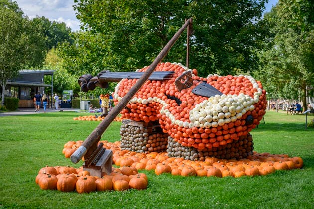 Welt der Musik ist das Motto der diesjährigen Kürbisausstellung in der Gartenschau in Kaiserslautern. Gäste bewundern am Dienstag (30.08.2022) die bis zu 4 Meter hohen Kunstwerke. Rund 40.000 Kürbisse an den insgsamt13 Figuren, darunter ein Grammophon, eine Geige, die berümte Rolling Stones Zunge oder ein DJ an seinem Pult, verwandeln die Gertenschau in eine einmalige Kürbiswelt. Offizieller Start der Ausstellung ist der 01. September 2022. Zu sehen werden die Kunstwerke bis zum 31. Oktober 2022 sein. *** World of music is the motto of this years pumpkin exhibition in the garden show in Kaiserslautern Guests admire the up to 4 meters high works of art on Tuesday 30 08 2022 About 40 000 pumpkins on the insgsamt13 figures, including a Kuerbis30082201D.jpg