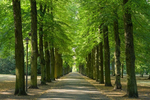Albert-Brodersen-Allee, Schloßpark Biesdorf, Marzahn-Hellersdorf, Berlin, Deutschland