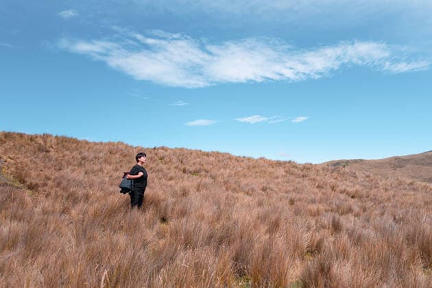 Creative Highlights Symbolbilder Side view of female explorer with backpack standing in meadow with tall dried grass and admiring nature in highlands on sunny day, Model released EduuSandoval_ID572_22178_001 Copyright: xEduuxSandovalx MR