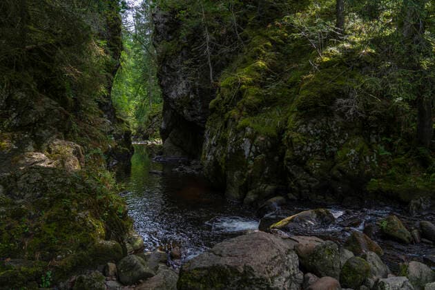 Creative Highlights World Der Bergbach Wutach in der Wutachschlucht bei Kappel (Landkreis Breisgau-Hochschwarzwald) im Hochschwarzwald in Baden-Württemberg. Foto: Volker Hohlfeld In der Wutachschlucht *** The mountain stream Wutach in the Wutach Gorge near Kappel County Breisgau Black Forest in the Black Forest in Baden Wuerttemberg Photo Volker Hohlfeld In the Wutach Gorge