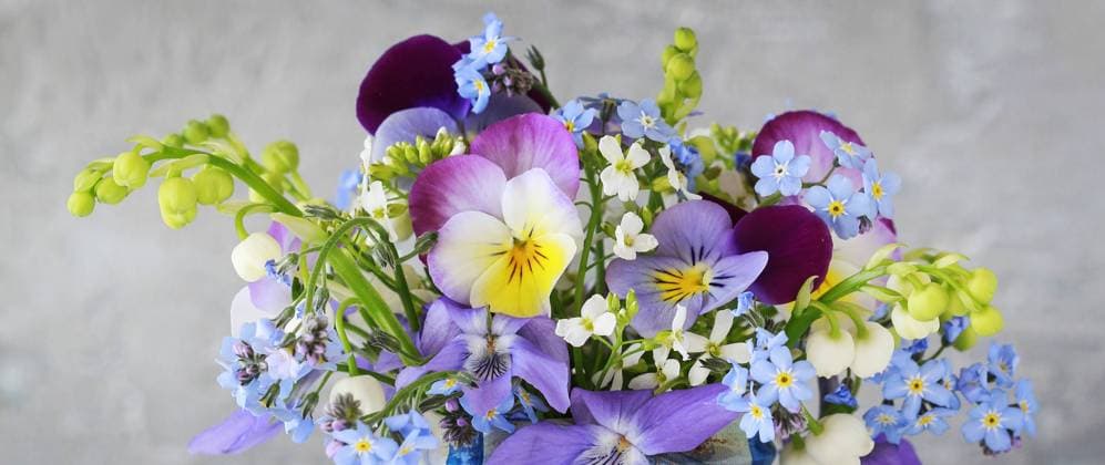 Pansy, forget-me-not, violet and lily of the valley flowers in one beautiful bouquet. Floral background.  BEW1D9683BD
