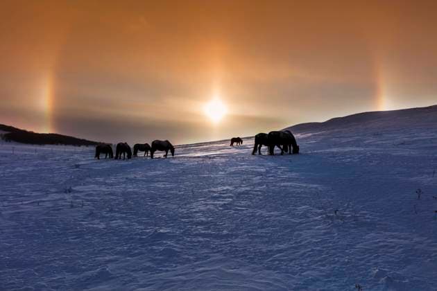 Creative Highlights World Bashang grassland of Inner Mongolia snow China, 18 05 2022, Copyright: xViewxStockx, dspd135424f10.jpg, Inner Mongolia,Wulanbutong,Bashang,Snow,Saihanba,Outdoors,Nature,china,Hill,Farm,Scenics,Pasture,Nobody,Photography,Color Image,Day,Horizontal,Physical Geography,Remote,Beauty In Nature,Tourist Resort,Grass Area,Tree,Covering,Landscape,Cold,Land Feature,Natural Phenomenon,Vacations,Tranquil scene,Low Angle View,Travel Destinations,Tourism,Frost s Descent,Winter,Travel,mountain slope,White,Mountain Range,Animal,Herding,Plant,Domestic Animals,Livestock,Agriculture,Animals In The Wild,Horse Family,Horse,Colony Copyright: xViewxStockx