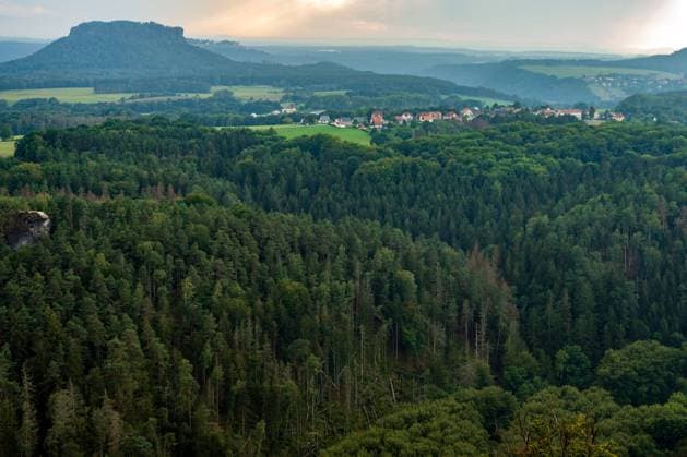 08.09.2022, Deutschland, Sachsen, Sächsische Schweiz, Hohnstein: Blick von der Brandbaude bei Hohnstein auf die Wälder im Nationalpark Sächsische Schweiz, im Hintergrund der Lilienstein. Dürre und der Borkenkäfer sorgen dafür, dass immer mehr Bäume in dem Naturschutzgebiet absterben. *** 08 09 2022, Germany, Saxony, Saxon Switzerland, Hohnstein View from the Brandbaude near Hohnstein to the forests in the Saxon Switzerland National Park, in the background the Lilienstein Drought and the bark beetle cause more and more trees to die in the nature reserve