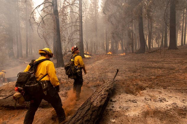 Bilder des Jahres 2022, News 09 September News Themen der Woche KW36 News Bilder des Tages September 9, 2022, Volcanoville, CA, USA: Firefighters walk by spot fire during the Mosquito Fire in Volcanoville, Friday, Sept. 9, 2022. Volcanoville USA - ZUMAj89_ 20220909_zaf_j89_015 Copyright: xPaulxKitagakixJr.x