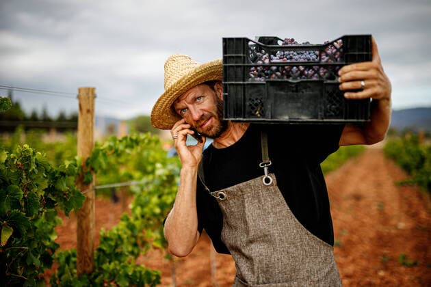 Creative Highlights Symbolbilder Serious adult man in hat carrying box with fresh grapes and answering phone call while walking on vineyard during harvest, Model released MaciaPuiggros_GrapeHarvest_40 Copyright: xMaciaxPuiggrosx MR