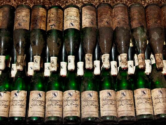 RECORD DATE NOT STATED Weinanbaugebiet Österreich Schlossweingut Graf Hardegg. Seefeld-Kadolz Österreich chja00251 *** Wine growing area Austria Schlossweingut Graf Hardegg Seefeld Kadolz Austria chja00251