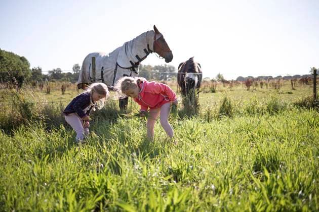 IMAGO Creative, Kinder auf dem Reiterhof Girls picking grass at field by horses in background model released, Symbolfoto, DWF00586