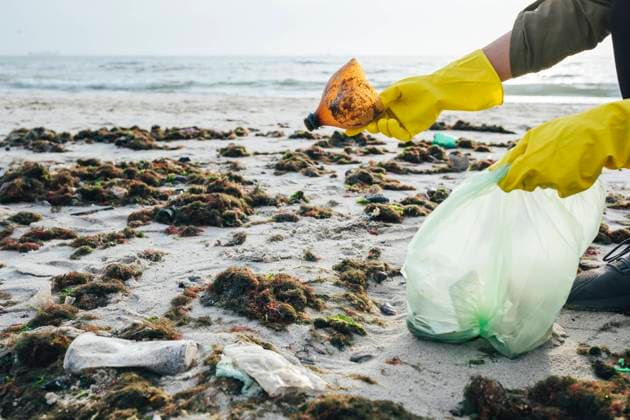 Hand s of woman collecting plastic bottle waste in garbage bag at beach model released, Symbolfoto, OYF00738
