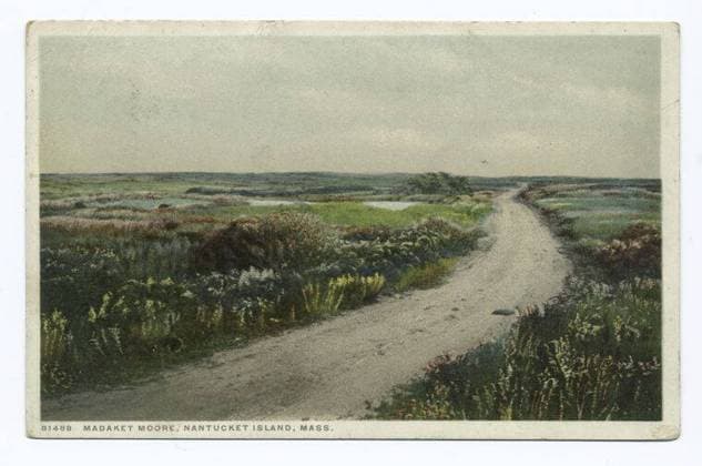Madaket Moore (roadway on right), Nantucket Island, Mass. still image. Postcards. 1898 - 1931. The Miriam and Ira D. Wallach Division of Art, Prints and Photographs: Photography Collection. Nantucket (Mass.), Madaket (Mass.), Roads , Massachusetts Copyright: xpiemagsx nyplsipiepostcard28092022-416 !ACHTUNG AUFNAHMEDATUM GESCHÄTZT!