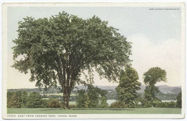Erksine Park East, Lenox, Mass. still image. Postcards. 1898 - 1931. The Miriam and Ira D. Wallach Division of Art, Prints and Photographs: Photography Collection. Massachusetts, Trees Copyright: xpiemagsx nyplsipiepostcard28092022-1626 !ACHTUNG AUFNAHMEDATUM GESCHÄTZT!