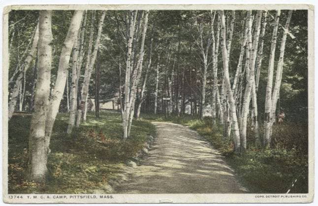 Y.M.C.A. Camp, Pittsfield, Mass. still image. Postcards. 1898 - 1931. The Miriam and Ira D. Wallach Division of Art, Prints and Photographs: Photography Collection. Massachusetts, Trees, Trails & paths Copyright: xpiemagsx nyplsipiepostcard28092022-1639 !ACHTUNG AUFNAHMEDATUM GESCHÄTZT!