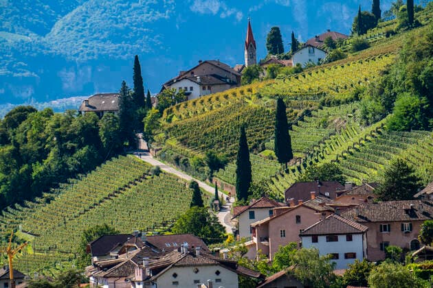 Landschaft im Etschtal, in Südtirol, oberhalb des Ortes Tramin, Weinberge dominieren die Berghänge, Heimat der Gewürztraminer Traube, Italien Landschaft Etschtal *** Landscape in the Etsch Valley, in South Tyrol, above the village of Tramin, vineyards dominate the mountain slopes, home of the Gewürztraminer grape, Italy landscape Etsch Valley