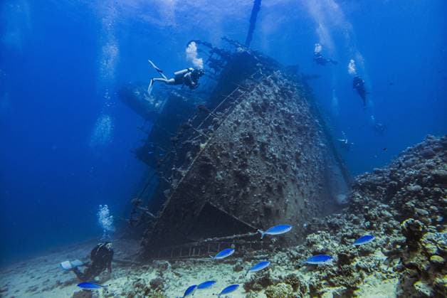 Egypt: Shipwreck of Giannis D Scuba diver exploring the interior of a submerged wreck of Giannis D on September 30, 2022 in Hurghada, Red Sea, Egypt. In April 1983, Giannis D was loaded with lumber in Rijeka, Croatia, destined for Saudi Arabia and Yemen. The ship passed through the Mediterranean and through the Suez Canal. On 19 April 1983, it was approaching the Gobal Strait at full speed when it was seen to suddenly veer off course and crash heavily into the northwest corner of the Sha ab Abu Nuhas ridge. The crew abandoned the ship and were safely rescued. The submerged wreck of Giannis D is located at a depth of 4 to 24 meters.. DavorxJavorovic PIXSELL