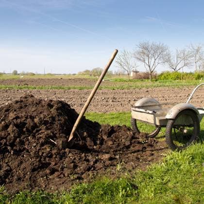 IMAGO Creative, Biodynamische Landwirtschaft pile of organic fertilizer near to the vegetable garden , 7745244.jpg, organic, fertilizer, pile, heap, gardening, garden, soil, farm, decay, agriculture, decompose, fertile, biological, rural, nature, outdoor, farming, rot, manure, barrow, compost, bio, countryside, natural, ground, field, dirt, ranch, straw, tool, spring, summer, container, environment, ecology, agricultural, nobody, shovel,