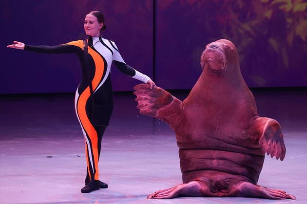 Entertainment Themen der Woche KW40 Entertainment Bilder des Tages MOSCOW, RUSSIA - OCTOBER 6, 2022: An animal trainer and a walrus perform during the premiere of the new Sea Symphony water show at the Moskvarium oceanography and marine biology center at VDNKh. The show includes classical music performed by a symphony orchestra and performances by marine animals. Mikhail Tereshchenko TASS  TS14551F
