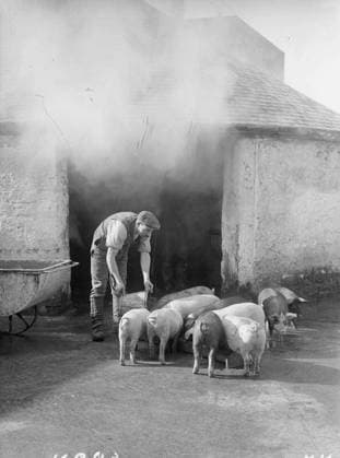 Ministry of Information First World War Official Collection The piggery, Gretna munition township. Copyright: xpiemagsx minofinfopieww04102022-1100 !ACHTUNG AUFNAHMEDATUM GESCHÄTZT!