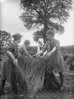 Ministry of Information First World War Official Collection Girl workers fating the flax. Copyright: xpiemagsx minofinfopieww04102022-1336 !ACHTUNG AUFNAHMEDATUM GESCHÄTZT!
