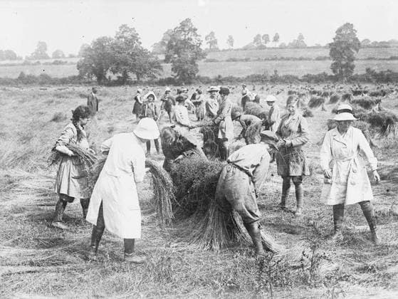 Ministry of Information First World War Official Collection Girl workers fating the flax. Copyright: xpiemagsx minofinfopieww04102022-1340 !ACHTUNG AUFNAHMEDATUM GESCHÄTZT!