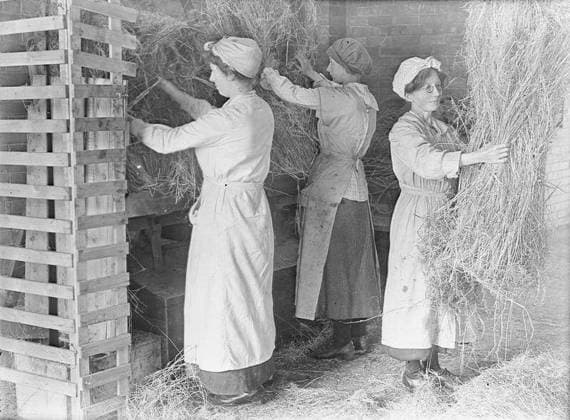 Ministry of Information First World War Official Collection Girl workers evening up the lengths of flax for breaking. Copyright: xpiemagsx minofinfopieww04102022-1342 !ACHTUNG AUFNAHMEDATUM GESCHÄTZT!