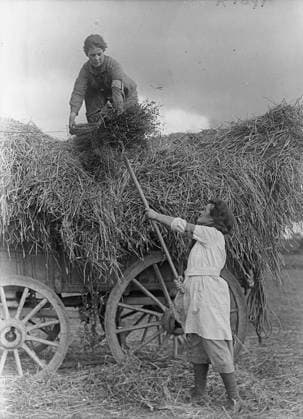 Ministry of Information First World War Official Collection Girl workers loading flax on to a wagon.. Copyright: xpiemagsx minofinfopieww04102022-1343 !ACHTUNG AUFNAHMEDATUM GESCHÄTZT!