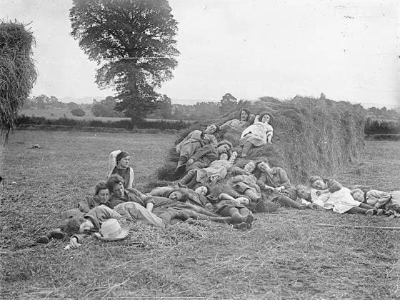 Ministry of Information First World War Official Collection College girl flax workers resting in a field. Copyright: xpiemagsx minofinfopieww04102022-1345 !ACHTUNG AUFNAHMEDATUM GESCHÄTZT!