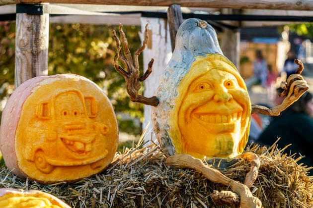 Kürbisausstellung auf dem Spargelhof Klaistow 2022 Kürbisausstellung auf dem Spargelhof Klaistow, Erlebnisbauerhof, Herbst, Potsdam-Mittelmark , Deutschland, *** Pumpkin exhibition at the asparagus farm Klaistow 2022 Pumpkin exhibition at the asparagus farm Klaistow, experience farm, autumn, Potsdam Mittelmark , Germany,