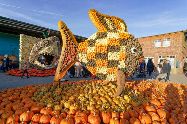 Kürbisausstellung auf dem Spargelhof Klaistow 2022 Kürbisausstellung auf dem Spargelhof Klaistow, Erlebnisbauerhof, Herbst, Potsdam-Mittelmark , Deutschland, *** Pumpkin exhibition at the asparagus farm Klaistow 2022 Pumpkin exhibition at the asparagus farm Klaistow, experience farm, autumn, Potsdam Mittelmark , Germany,