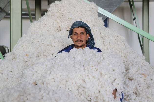 Bilder des Jahres 2022, News 10 Oktober News Themen der Woche KW41 News Bilder des Tages (221011) -- BALKH, Oct. 11, 2022 -- Photo taken on Oct. 10, 2022 shows a worker at a cotton processing plant in Balkh province, Afghanistan. A cotton processing plant at a cost of 2 million U.S. dollars has been inaugurated in Mazar-i-Sharif city, the capital of northern Balkh province, the state-run Bakhtar news agency reported. (Photo by Xinhua) AFGHANISTAN-BALKH-COTTON PROCESSING PLANT MxFardinxNawrozi 