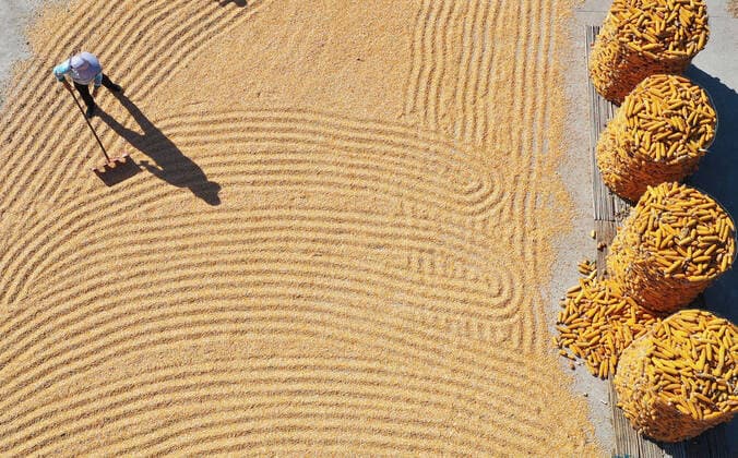 News Themen der Woche KW41 (221010) -- BEIJING, Oct. 10, 2022 -- Aerial photo taken on Oct. 10, 2022 shows a villager airing harvested corn in Tancheng County of Linyi City, east China s Shandong Province. (Photo by Xinhua) CHINA-FARMING-HARVEST (CN) ZhangxChunlei 