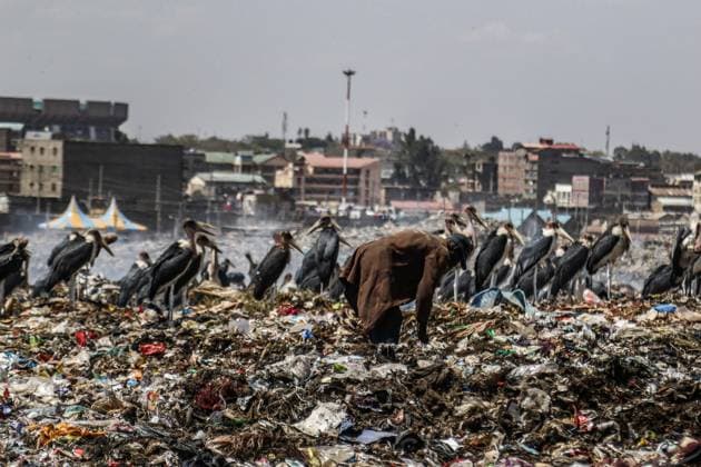 October 11, 2022, Nairobi, Kenya: A scavenger retrieves valuables for recycling in front of marabou storks scavenging for food at Dandora Dumping Site. There are concerns that smoke from burning garbage emits toxic chemicals that pose environmental and public health problems. Scavengers and the community bordering landfills where waste is openly burnt are heavily affected. Nairobi Kenya - ZUMAs197 20221011_zab_s197_067 Copyright: xJamesxWakibiax