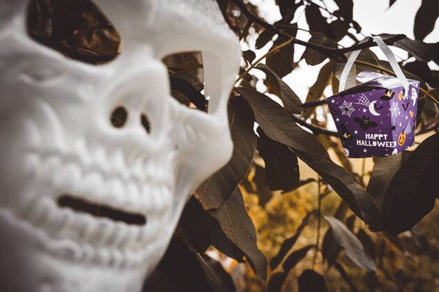 IMAGO Creative, Jahreszeit Herbst, Ferien 12 October 2022: Happy Halloween concept, spooky mask with autumn decoration. Halloween ornament, garland with the inscription: Happy Halloween *** Happy Halloween Konzept, gruselige Maske mit herbstlicher Dekoration. Halloween Schmuck, Girlande
