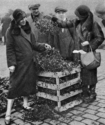 RECORD DATE NOT STATED Women choosing bunches of mistletoe, Caledonian Market, London, 1926-1927. Kissing under the mistletoe at Christmas is a British tradition. Illustration from Wonderful London, volume I, edited by Arthur St John Adcock, published by Amalgamated Press (London, 1926-1927). Women choosing bunches of mistletoe, Caledonian Market, London, 1926-1927. Artist: Unknown 