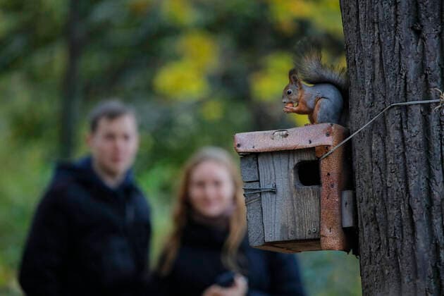 News Themen der Woche KW41 News Bilder des Tages (221016) -- MOSCOW, Oct. 16, 2022 -- People look at a squirrel at a park in Moscow, Russia, Oct. 15, 2022. (Photo by Xinhua) RUSSIA-MOSCOW-AUTUMN-DAILY LIFE AlexanderxZemlianichenkoxJr 