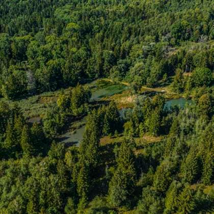 Idyllische Natur im Augsburger Stadtwald Lechauen und Mandichosee im Luftbild Königsbrunn Mandichosee Bayern Deutschland *** Idyllic nature in Augsburg city forest Lechauen and Mandichosee in aerial photo Königsbrunn Mandichosee Bavaria Germany Copyright: xmultimaps360 ARochaux 20220902_Mandichosee-Nord_10