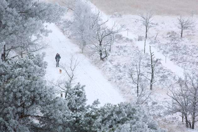 Wanderer mit seinem Hund in verschneiter Heide, Luftbild, Belgien, Antwerpen, Kalmthout, Kalmthoutse heide hiker with dog in snow covered heathland, aerial view, Belgium, Antwerp, Kalmthout, Kalmthoutse heide BLWS675169 *** Hikers with his Dog in Verschneiter Pagan, aerial view, Belgium, Antwerp, Kalmthout, Kalmthoutse Heide Hiker With Dog in Snow Covered heatland, Aerial view, belgium, Antwerp, Kalmthout, Kalmthoutse Heide BLWS675169 Copyright: xblickwinkel W.xPattynx