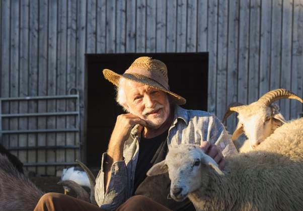 IMAGO Creative: 2022 Favoriten IMAGO Creative: November, Monat der Männergesundheit Happy senior man sitting amidst sheeps at farm model released, Symbolfoto property released, AANF00377
